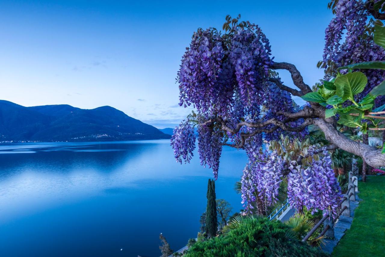 Boutique Hotel La Rocca Ronco sopra Ascona Extérieur photo